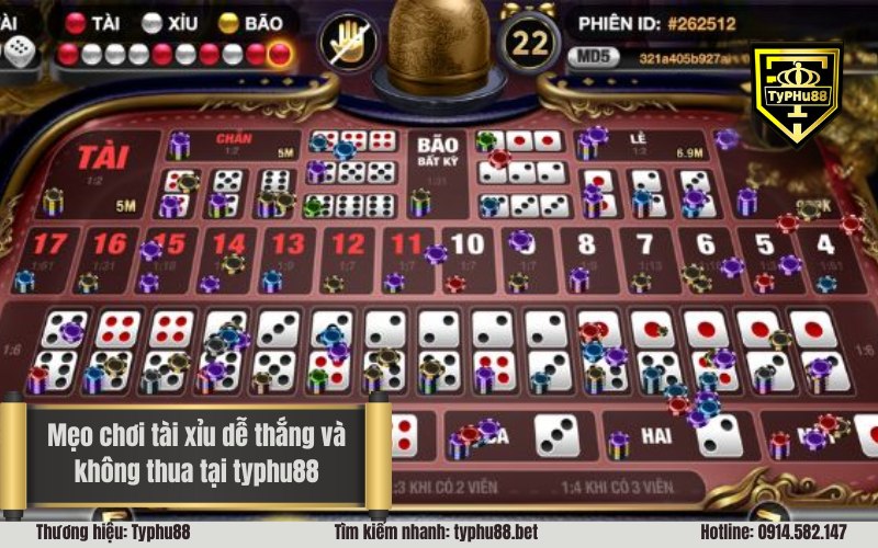 Mẹo chơi tài xỉu dễ thắng và không thua tại typhu88